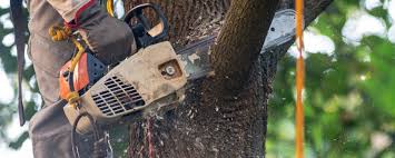 Best Mulching Services  in Harper, KS