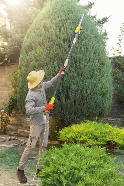 Best Commercial Tree Services  in Harper, KS